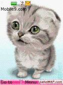 Cute Cat 1